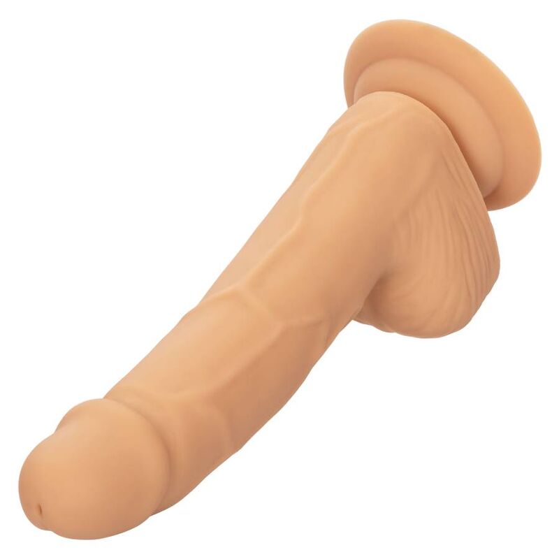 Calexotics - Silicone Studs 15.24 Cm Leather